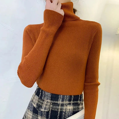 Women's Soft Knit Turtleneck Pullover Sweater